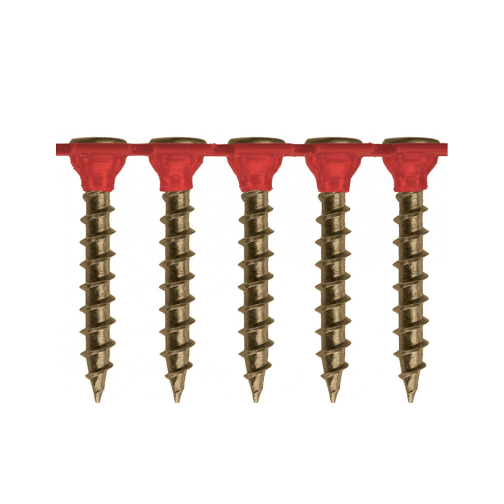 Needle Point Bugle Head - Coarse Thread Collated